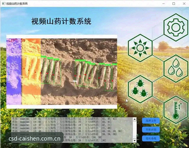 CSD最新版下载必备：官方版vs第三方版，哪个更值得选择？